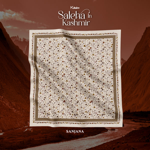 KEKABOO SALEHA IN KASHMIR SANJANA